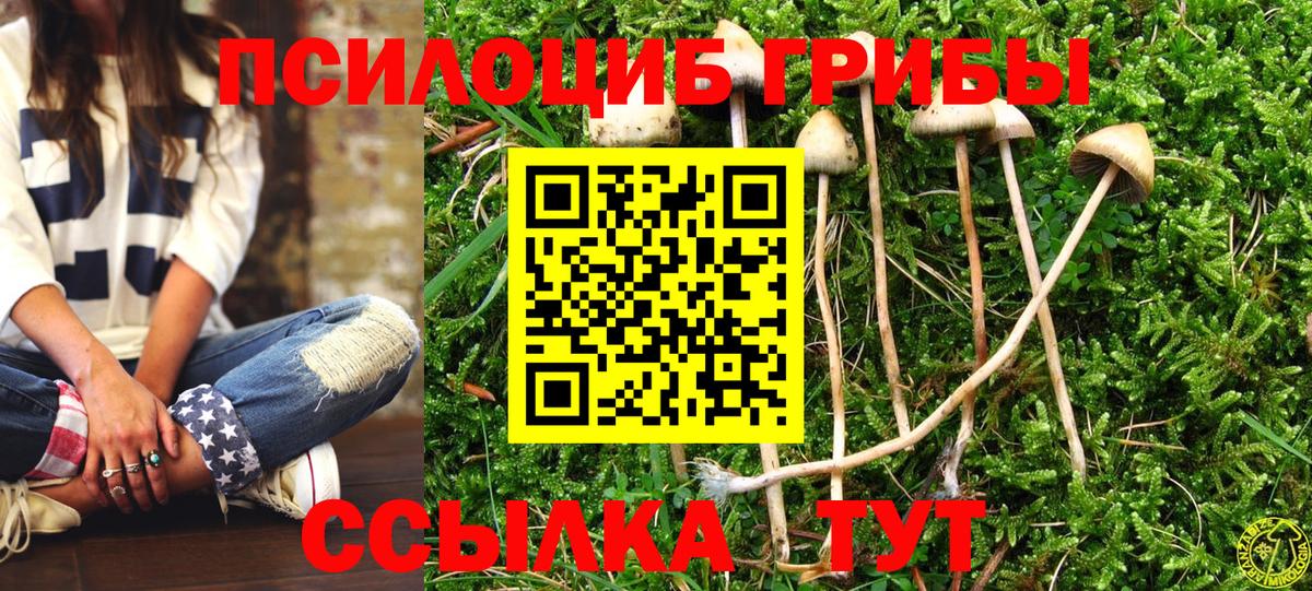 Истра  Псилоцибиновые грибы GOLDEN TEACHER  Вход с VPN 